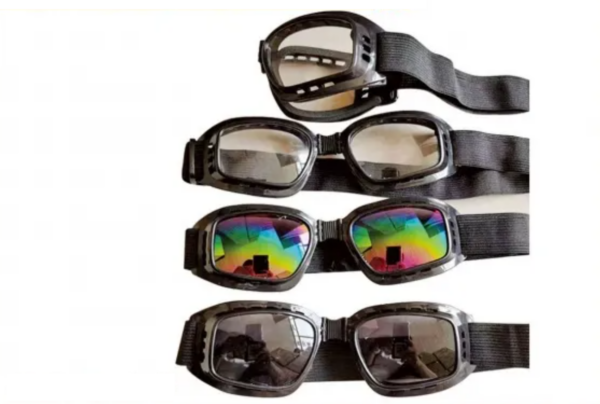 Ski goggles