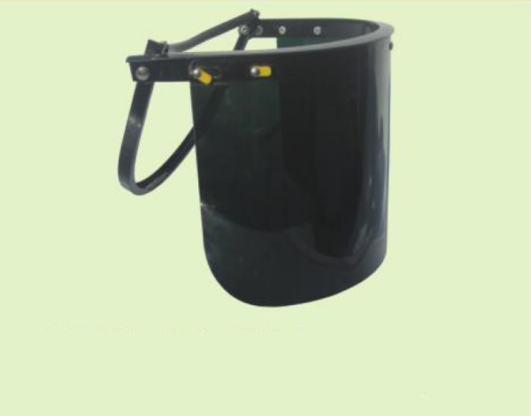 Face Shield