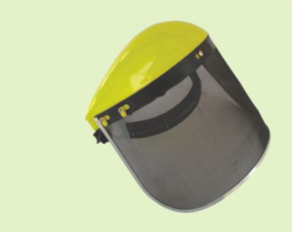Face Shield