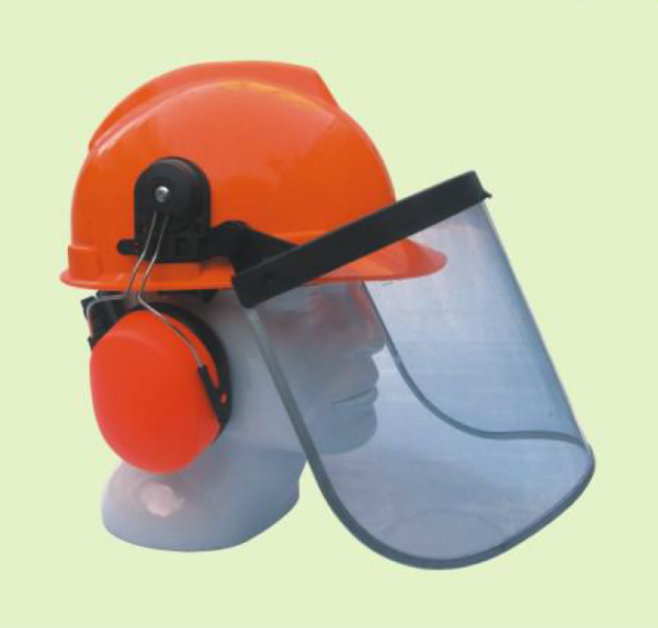 Face Shield