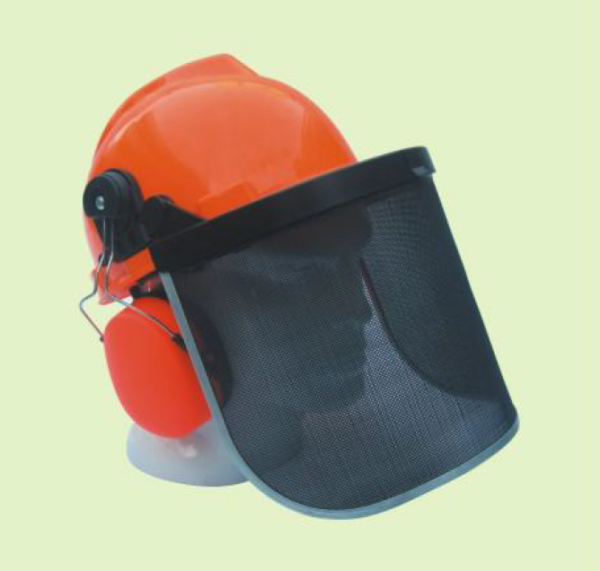 Face Shield