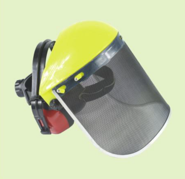 Face Shield