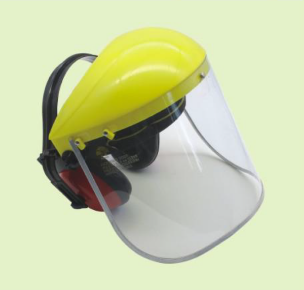 Face Shield