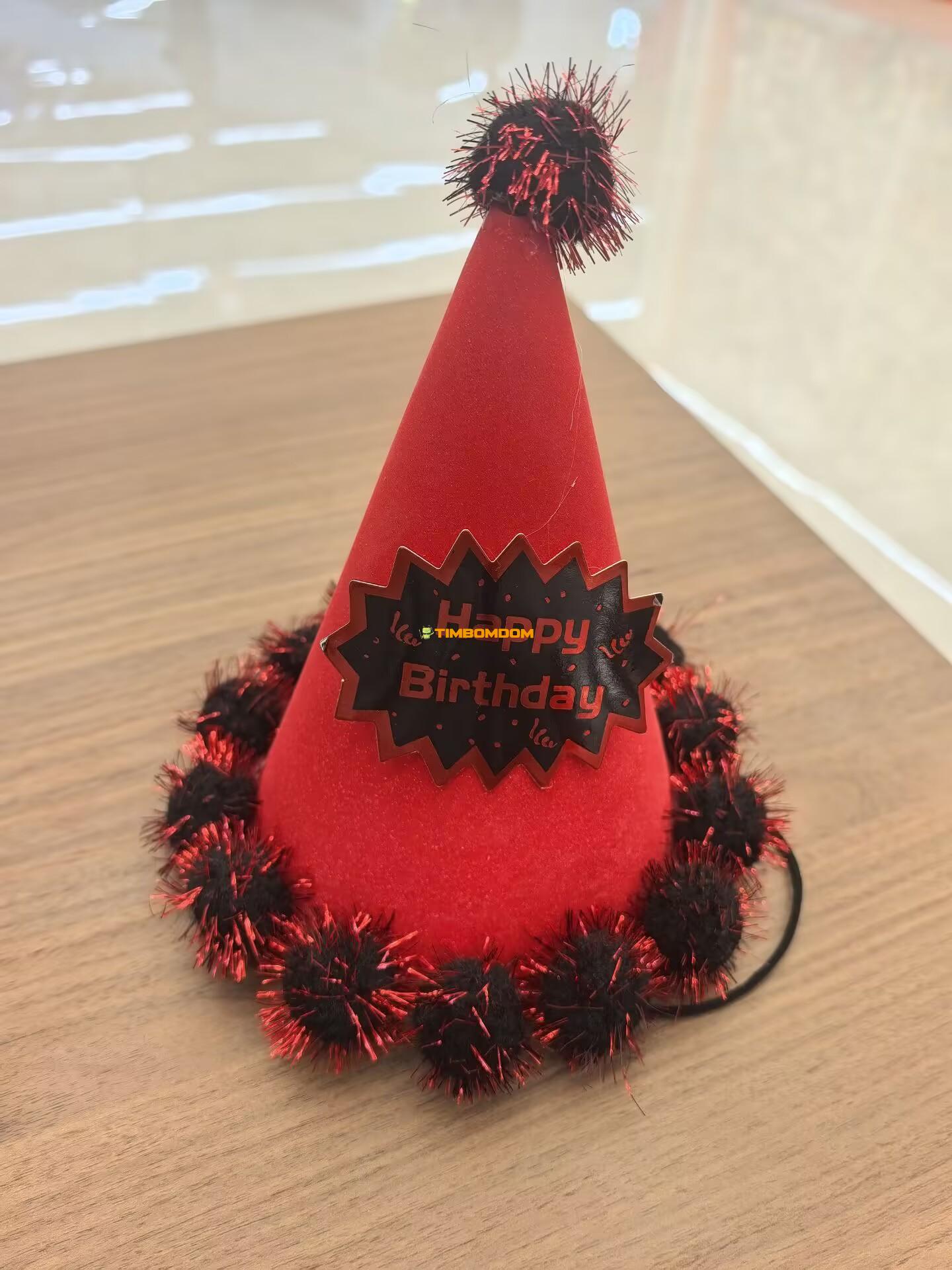 Matte Party Hat Matte Party Hat - TBD1180766.jpg