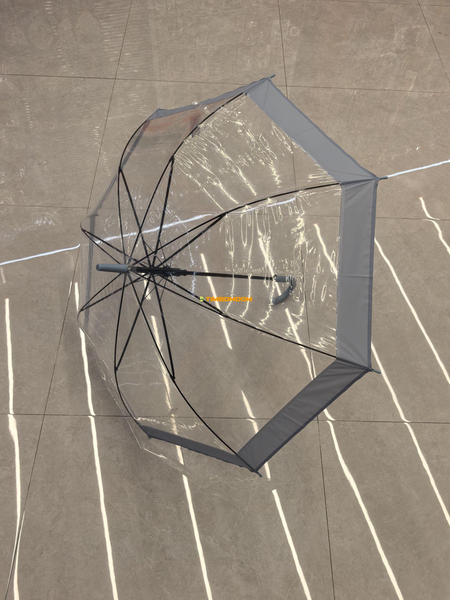 Transparent umbrella Transparent umbrella - TBD1181231.jpg