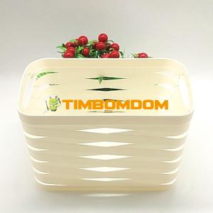 Plastic Basket  - TBD1181956.jpg