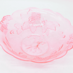 Plastic Plate  - TBD1182227.png