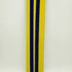 Saw Blades 30cm 2pcs - TBD1182271.png