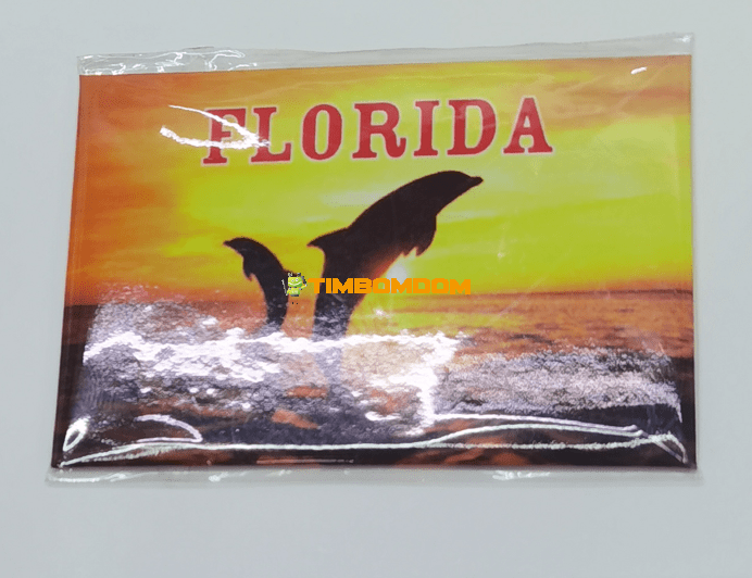 Refrigerator Magnet Refrigerator Magnet