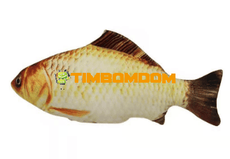 Plush Fish Cat Toy Plush Fish Cat Toy