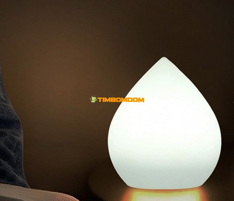 Decorative LED Night Light Decorative LED Night Light