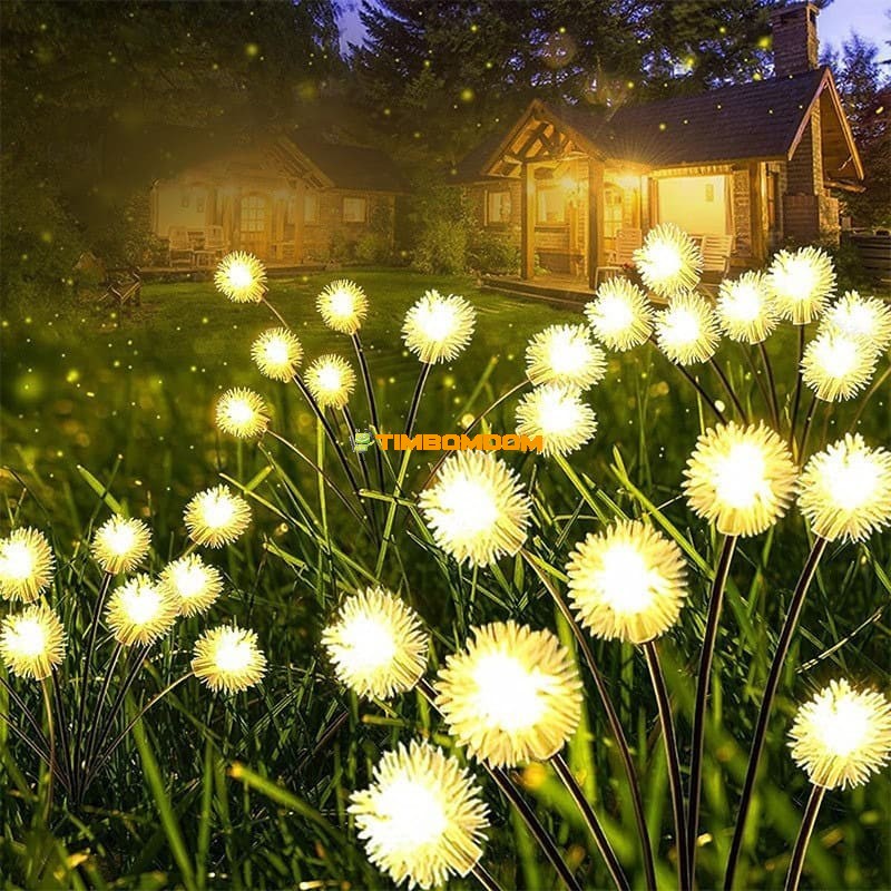 Outdoor Solar Energy Land Flower Outdoor Solar Energy Land Flower
