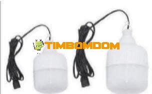 Hanging LED Camping Lights - TBD1187175.jpeg