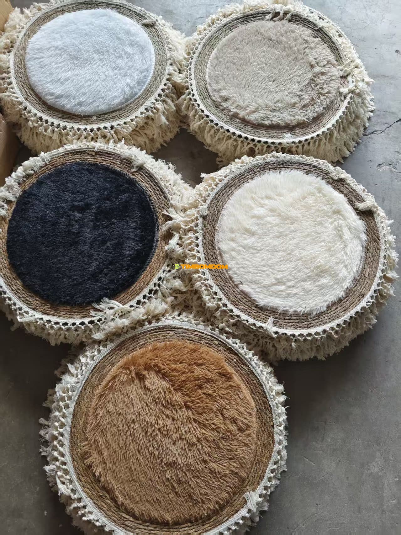 Carpet - TBD1187219.jpeg