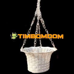 Plastic Flower Pot - TBD1187310.jpeg