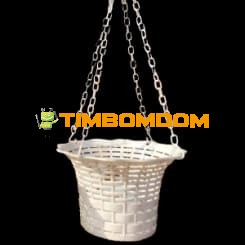 - TBD1187311.jpeg