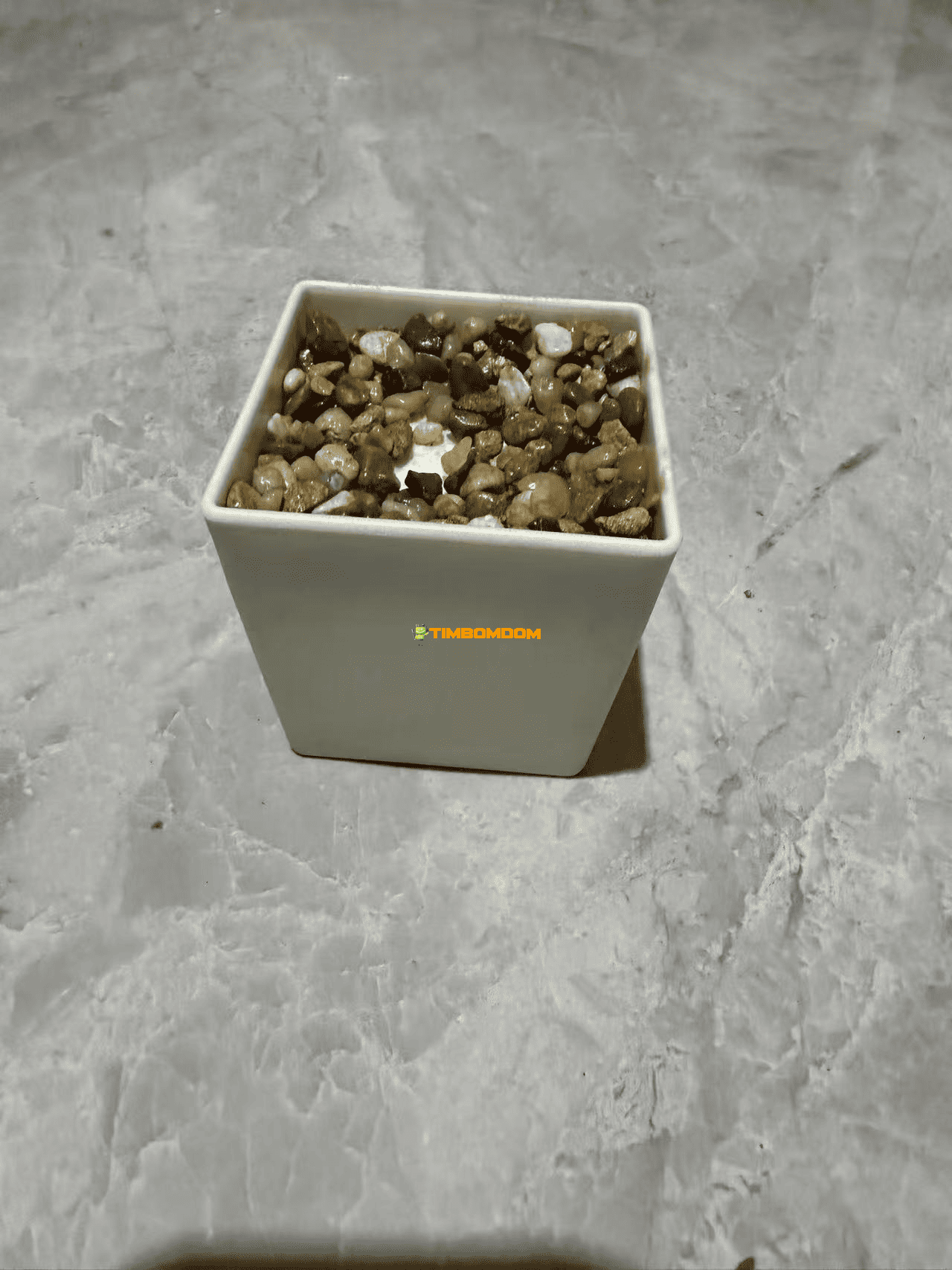 Plastic Flower Pot - TBD1187518.png