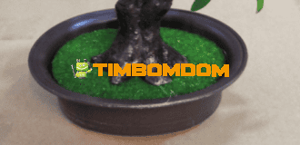 Plastic Flower Pot - TBD1187523.png