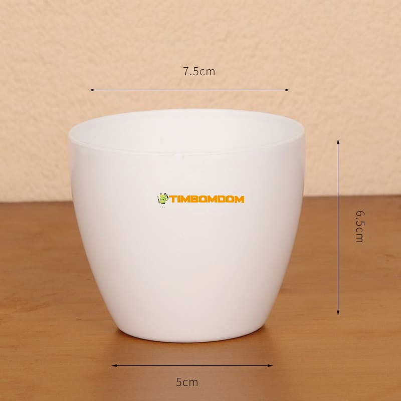 Plastic Flower Pot - TBD1187525.jpeg