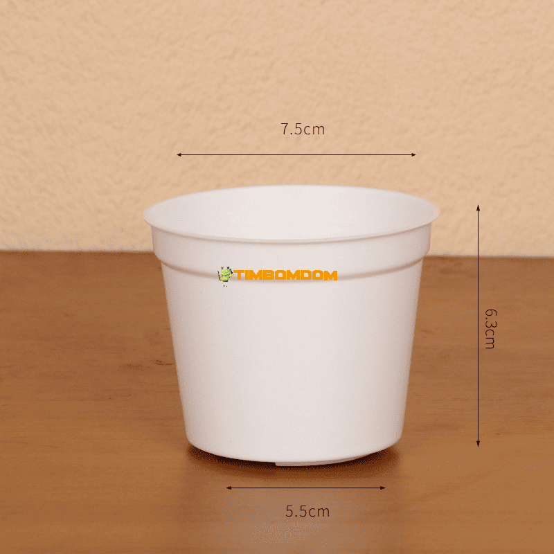 Plastic Flower Pot - TBD1187526.png