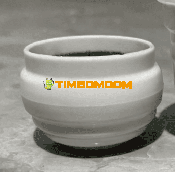 Plastic Flower Pot - TBD1187530.png