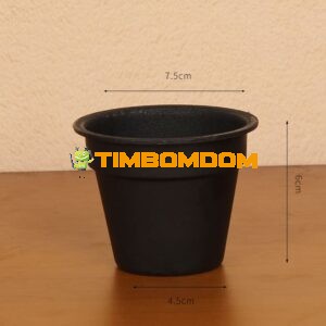 - TBD1187531.jpeg