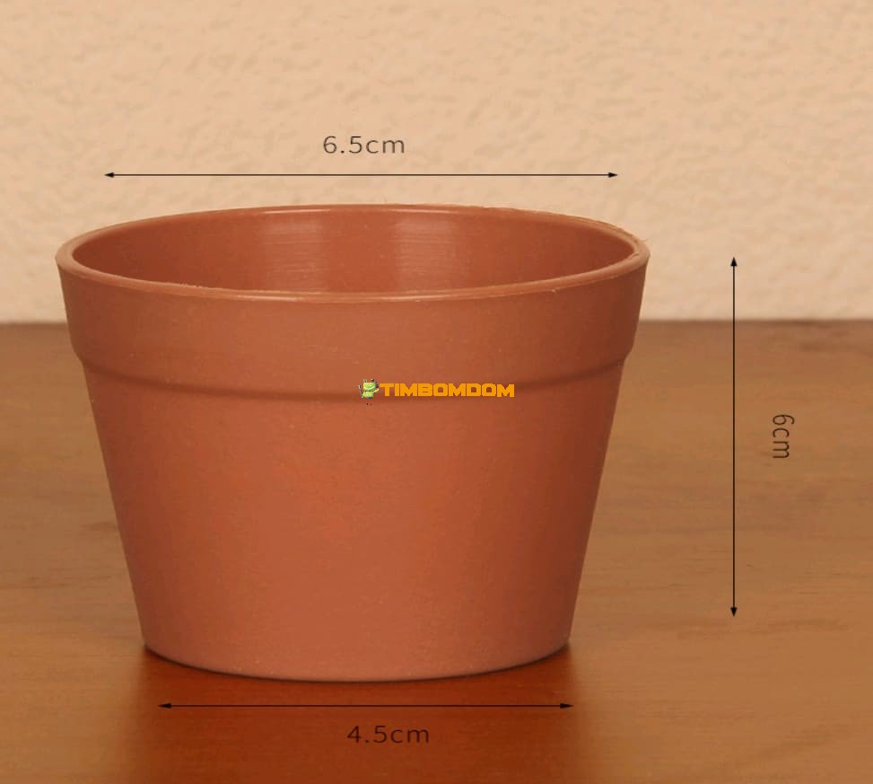 Plastic Flower Pot - TBD1187532.jpg