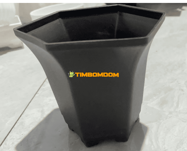 Plastic Flower Pot - TBD1187535.png