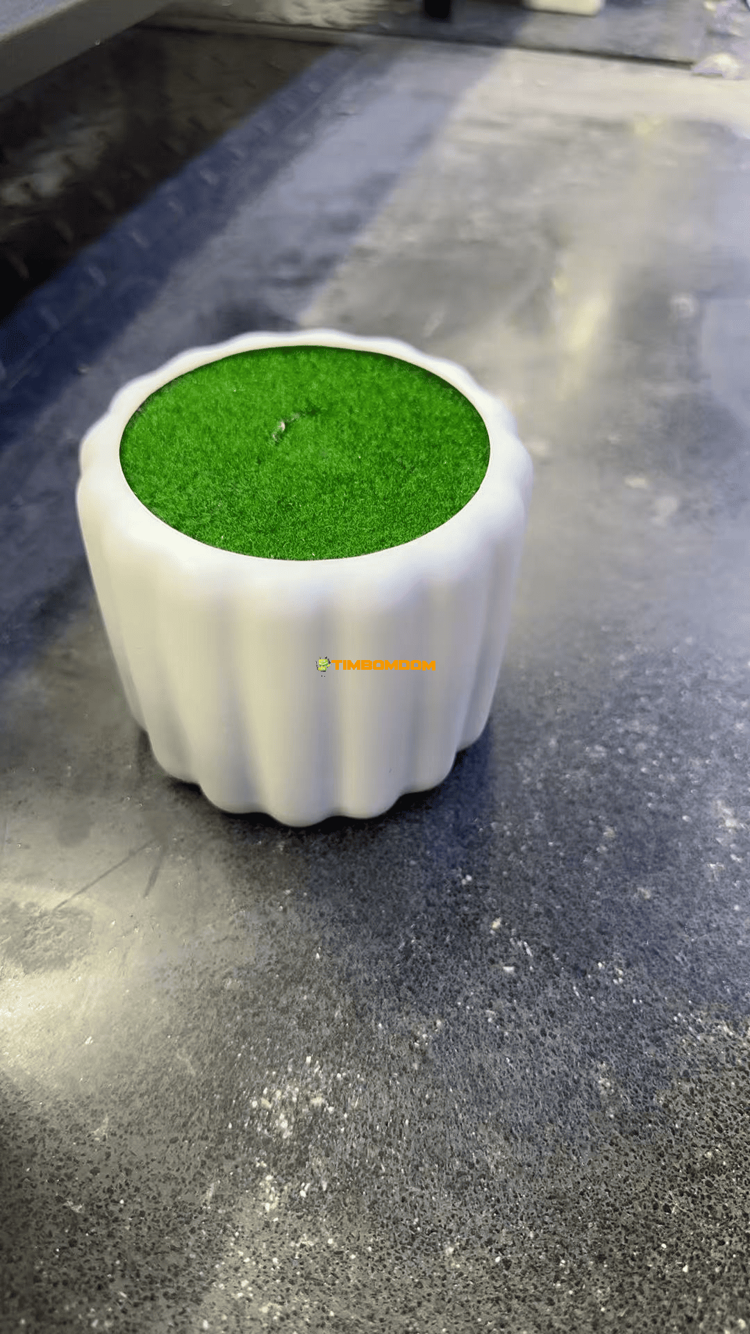 Plastic Flower Pot - TBD1187566.png