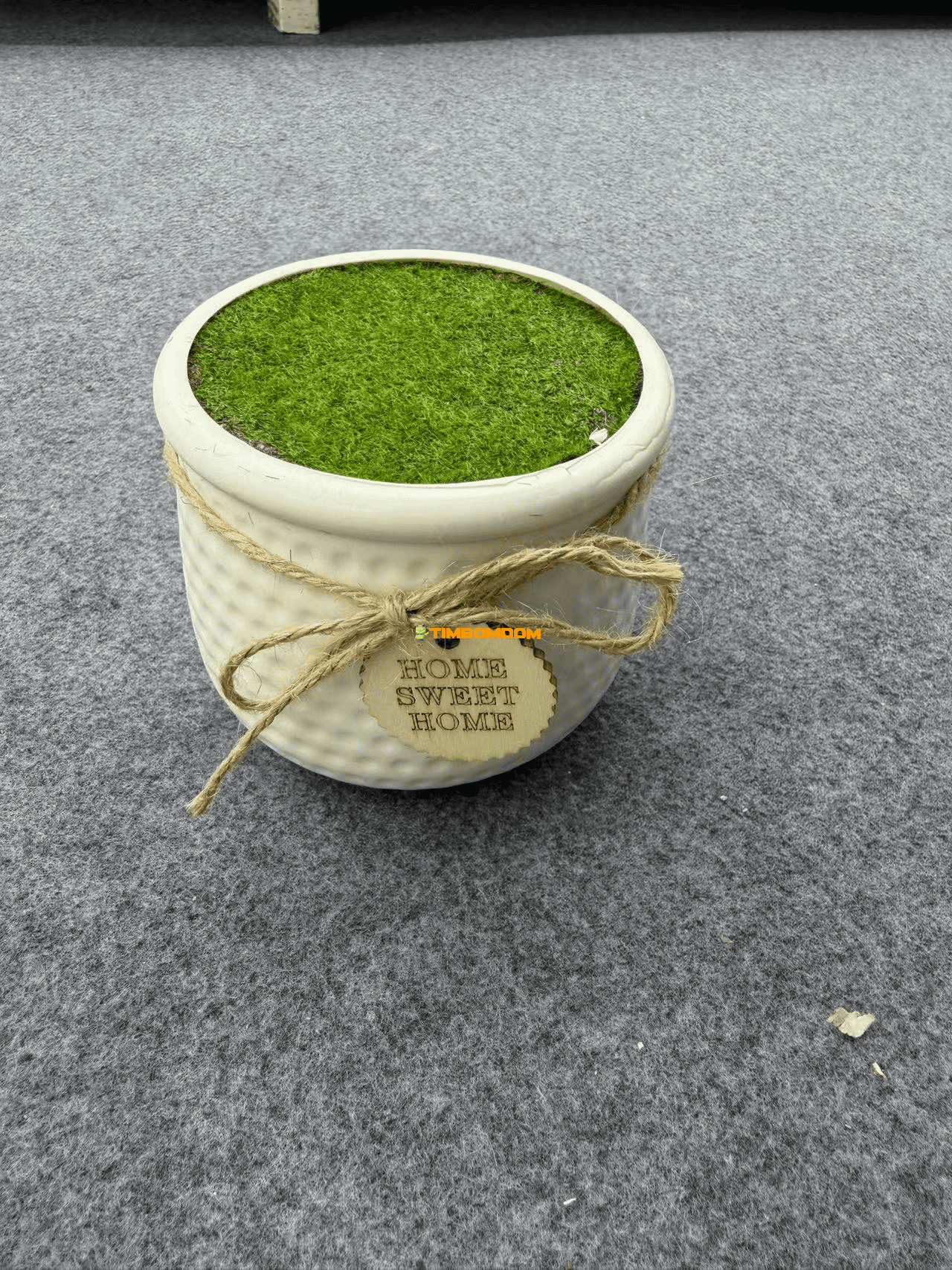 Plastic Flower Pot - TBD1187576.png