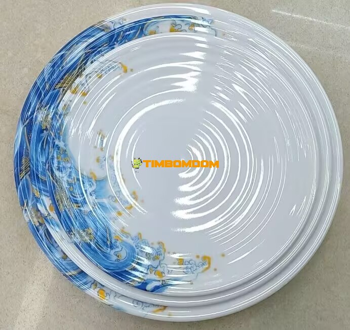 Plastic Plate 11 Inch - TBD1187835.jpg