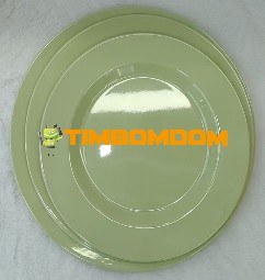 Plastic Plate 10 Inch - TBD1187857.jpeg