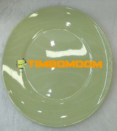 Plastic Plate 11 Inch - TBD1187861.jpeg