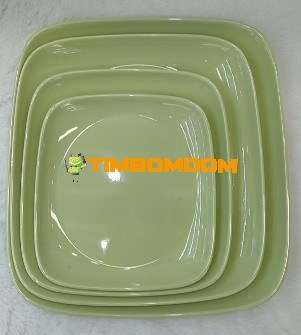 Plastic Plate 9.5 Inch - TBD1187867.jpeg