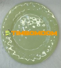 Plastic Plate 10.5 Inch - TBD1187889.jpeg