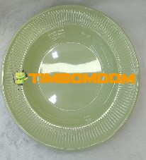 Plastic Plate 10 Inch - TBD1187891.jpeg