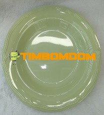 Plastic Plate 10.5 Inch - TBD1187893.jpeg