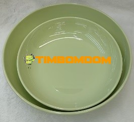 Plastic Plate 9.8 Inch - TBD1187896.jpeg