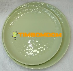 Plastic Plate 9 Inch - TBD1187899.jpeg