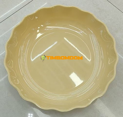 Plastic Plate 10.5 Inch - TBD1187906.png