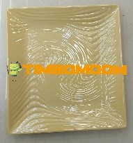 Plastic Plate 9 Inch - TBD1187908.jpeg