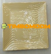 Plastic Plate 11 Inch - TBD1187910.jpeg