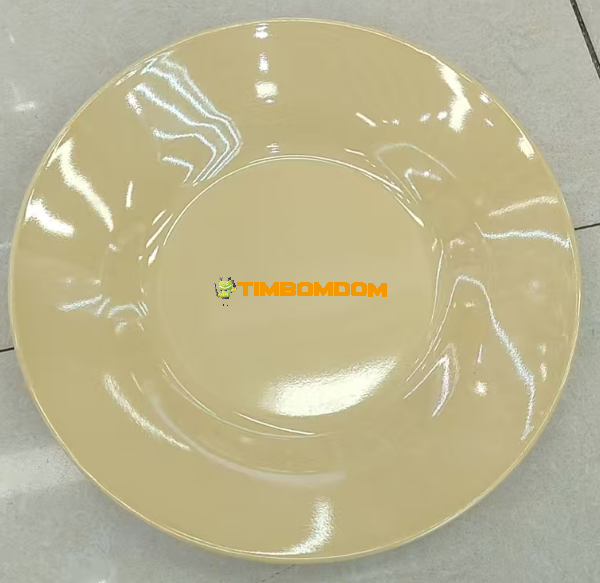 Plastic Plate 9 Inch - TBD1187911.png