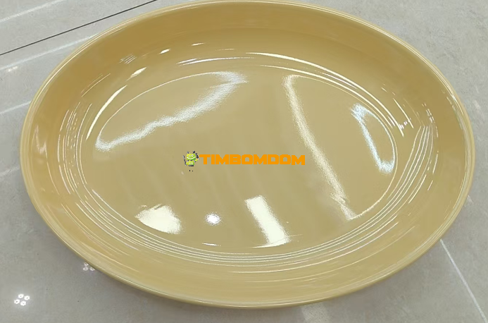 Plastic Plate 17 Inch - TBD1187913.png