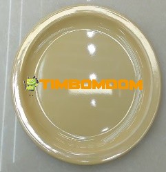 Plastic Plate 10.5 Inch - TBD1187917.jpeg
