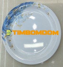Plastic Plate 10.5 Inch - TBD1187924.jpeg