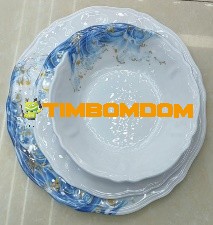 Plastic Plate 11 Inch - TBD1187929.jpeg