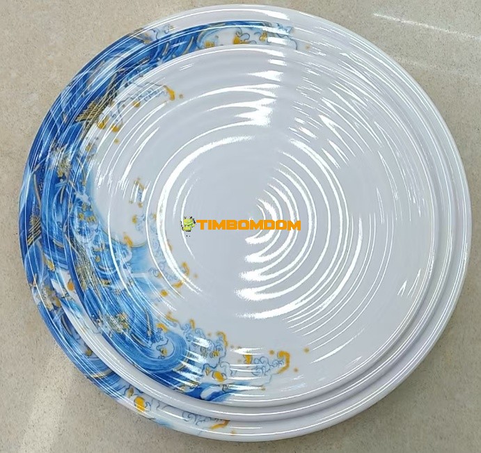 Plastic Plate 10 Inch - TBD1187934.jpg