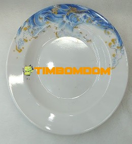 Plastic Plate 8 Inch - TBD1187947.jpeg