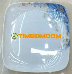 Plastic Plate 6 Inch - TBD1187968.jpeg